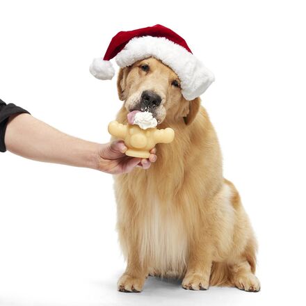 Christmas Vacation Super Chewer 2-Toy Bundle – BARK