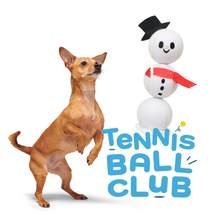 Tennis Ball Club