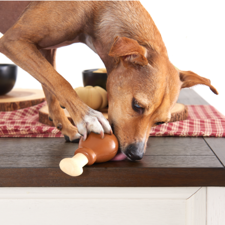 Turkey Day Drumstick