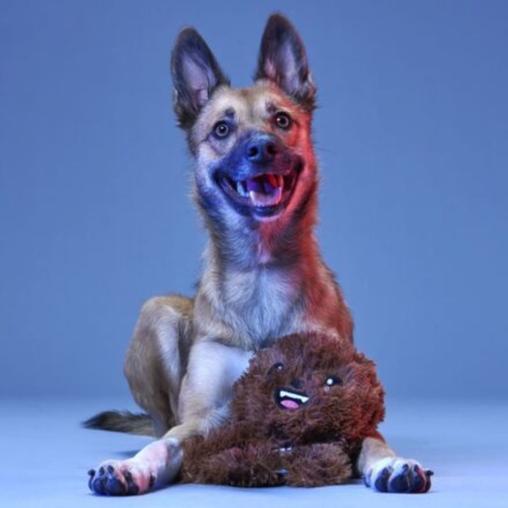 Bark It Up, Fuzzball! Plush Tug Dog Toy – BARK