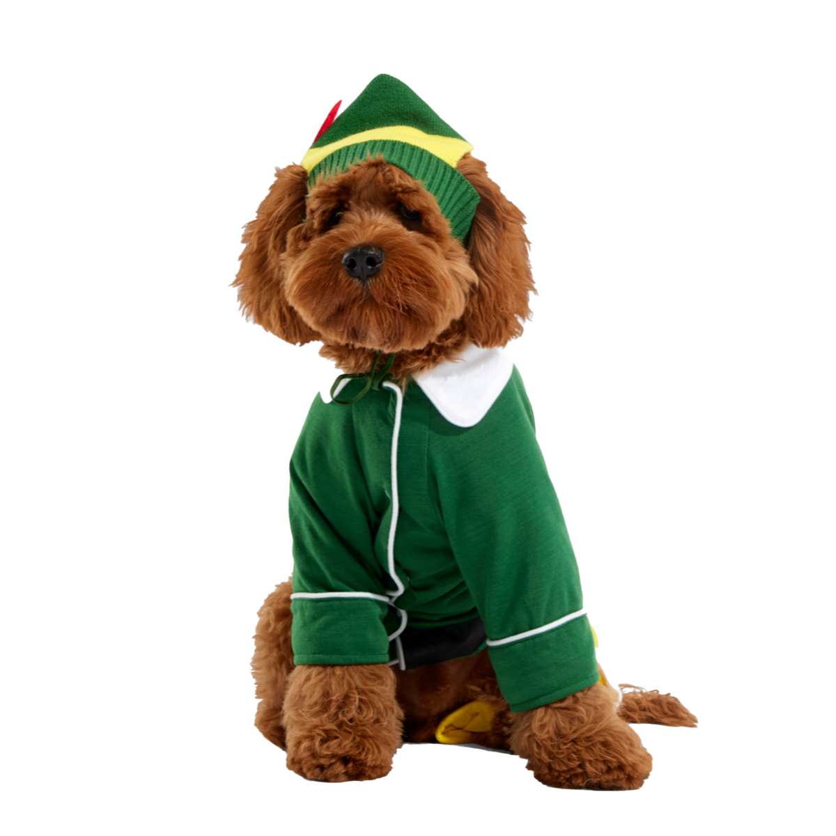 Elf Dog Toy & Treat Holiday Gift Box