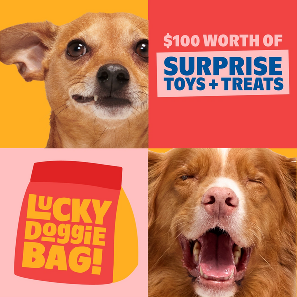 Lucky Doggie Bag