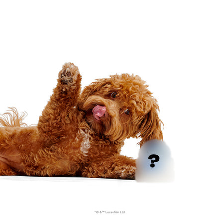 Star Wars™ Droid - R2-D2™