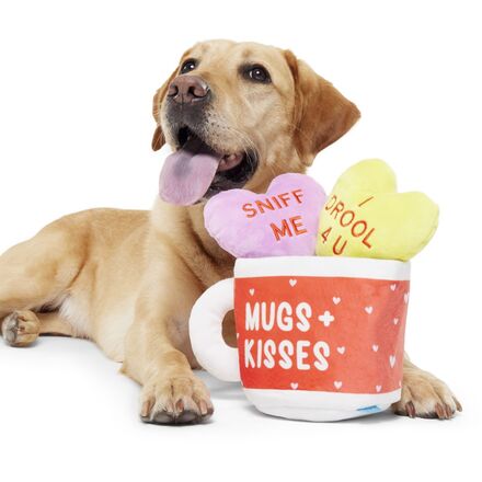 Mugs n' Kisses