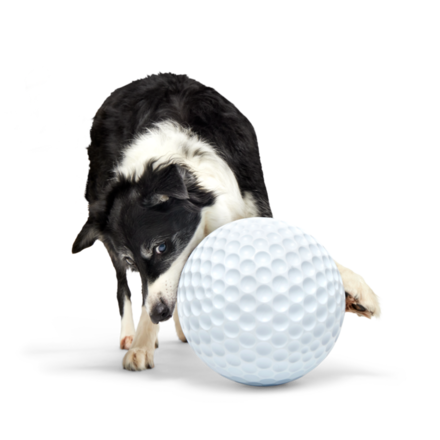 Big Swing Golf Ball