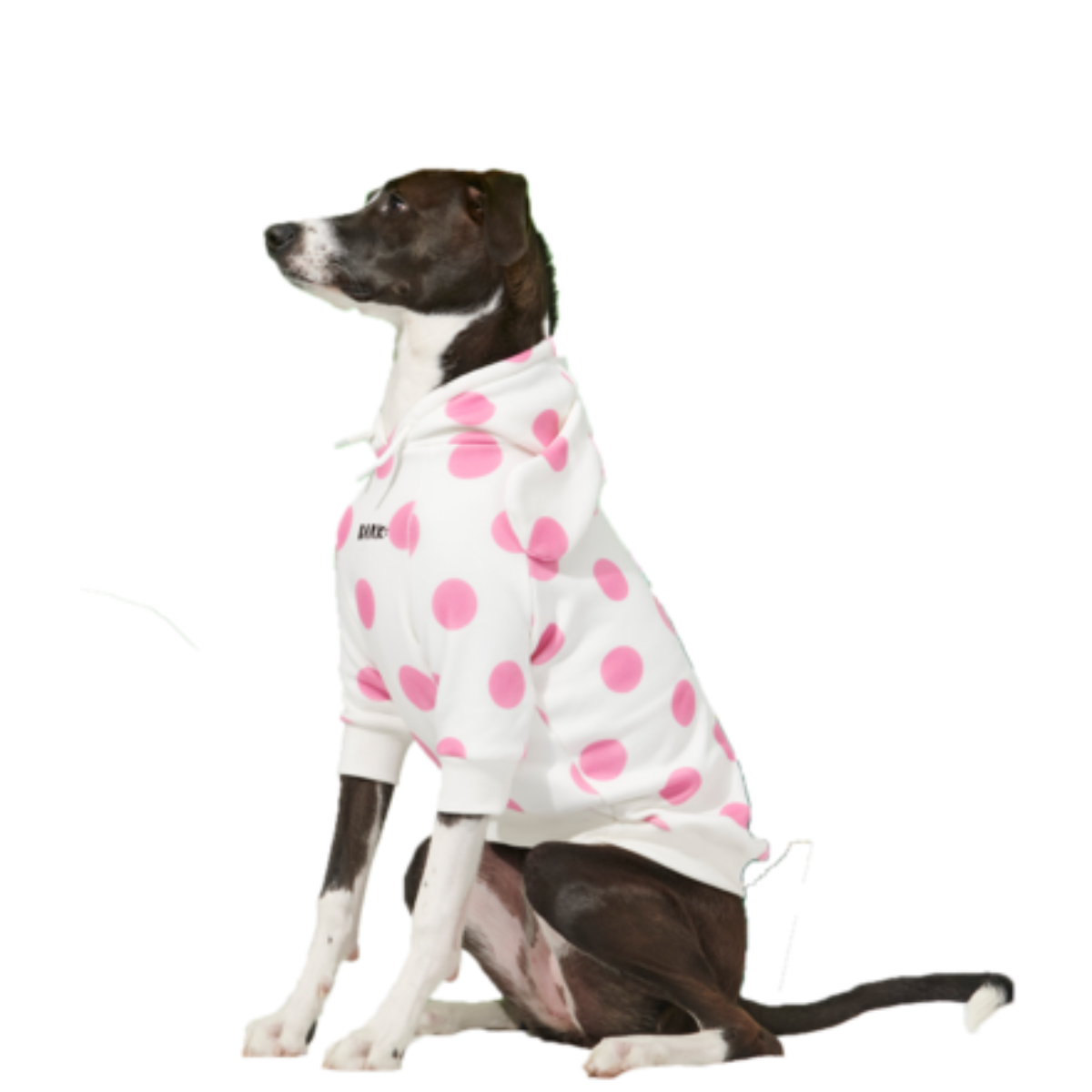 Spotted Elephant™ Dog Hoodie