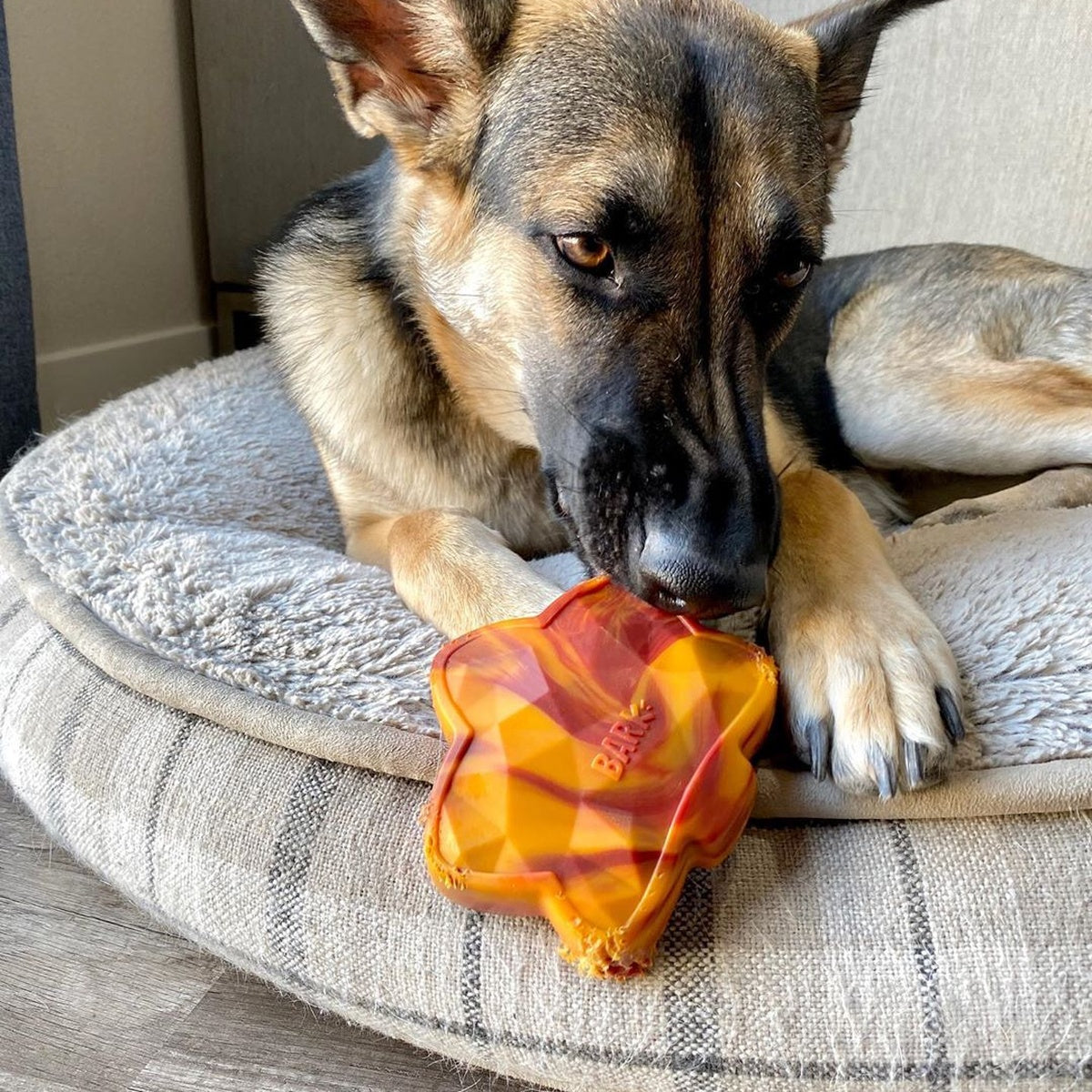 Mighty Maple Leaf Durable Super Chewer Gnaw Dog Toy – BARK