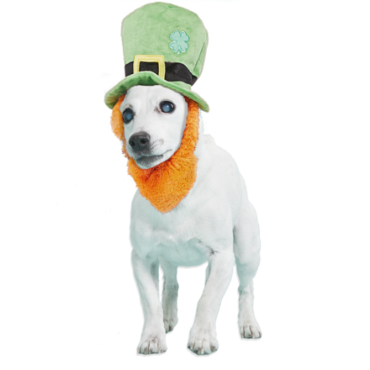 St. Pup's Lucky Hat Plush Wearable Tug Dog Toy