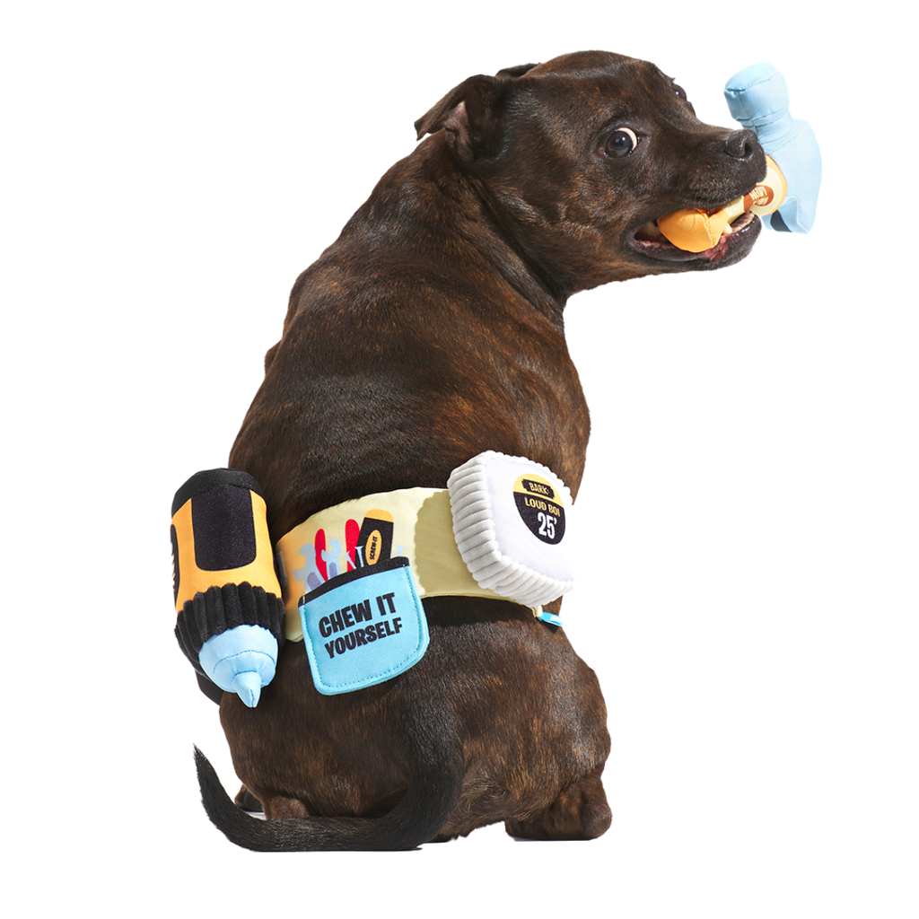 Fixer Pupper Tool Belt Plush Wearable Multi-Part Dog Toy – BARK