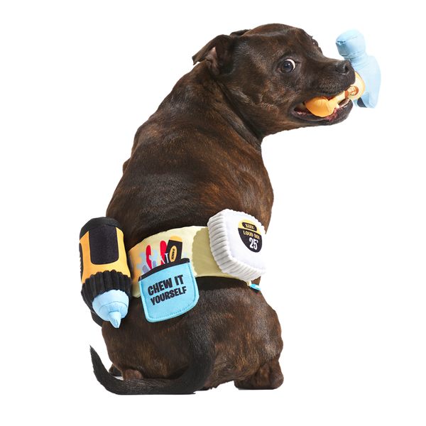 Fixer Pupper Tool Belt Plush Wearable Multi-Part Dog Toy – BARK