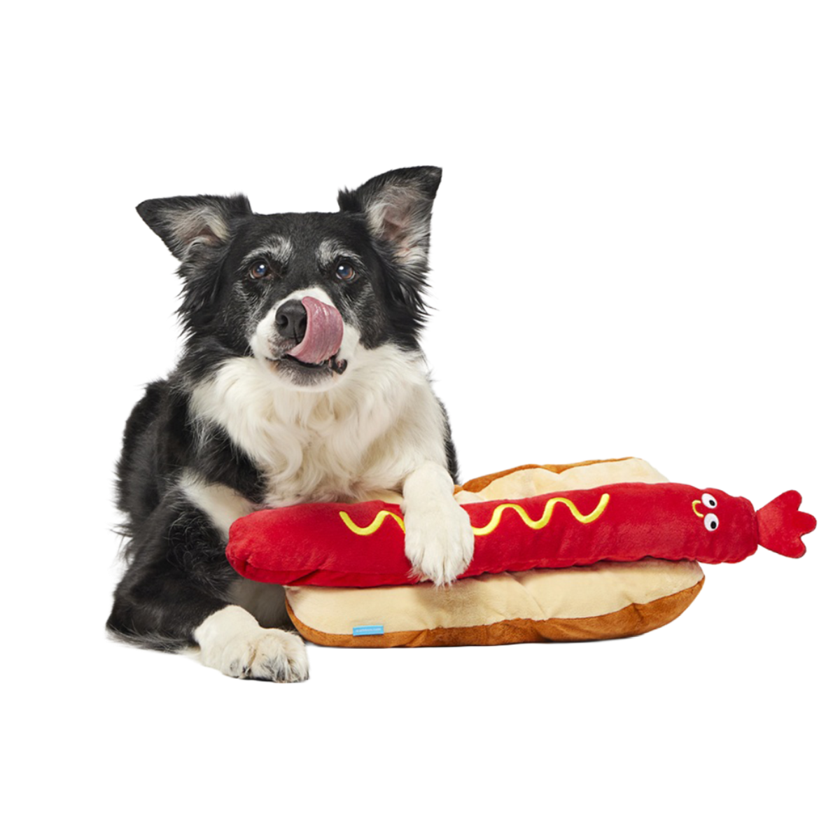 Frank N. Footer Plush Extra-Large Tug Dog Toy