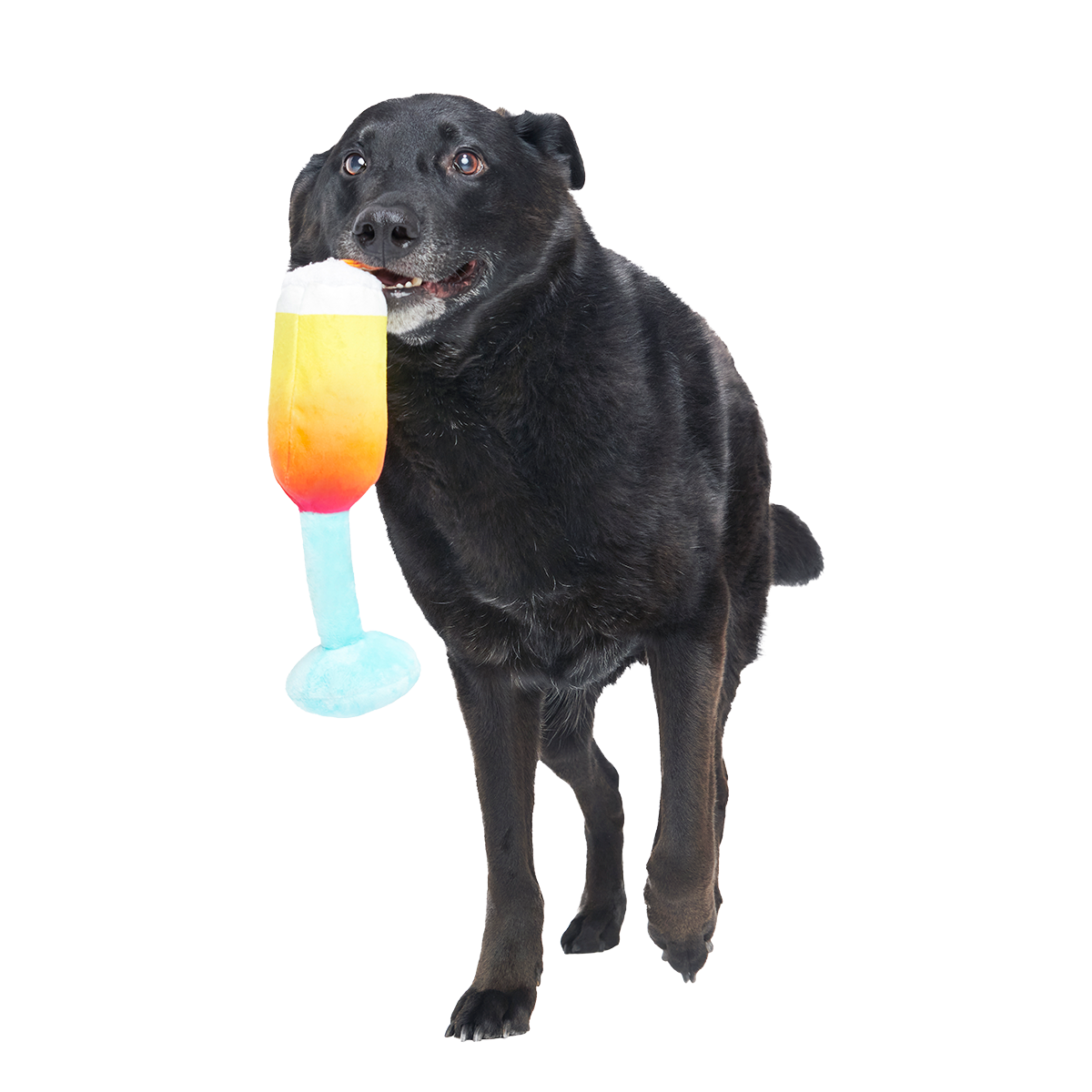 Cocktail Club, Plush Cocktail Monthly Dog Toys