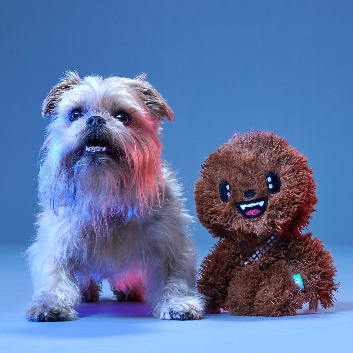 Star Wars™ BarkBox - One Month Gift Box