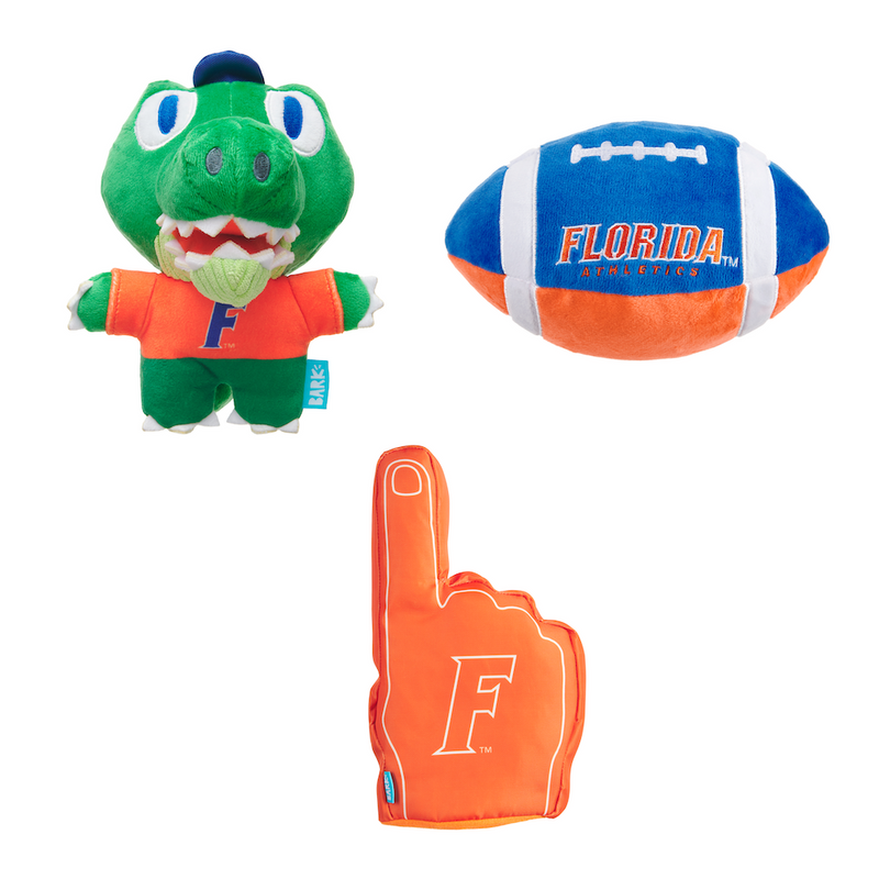 Florida Gators Game Day Bundle