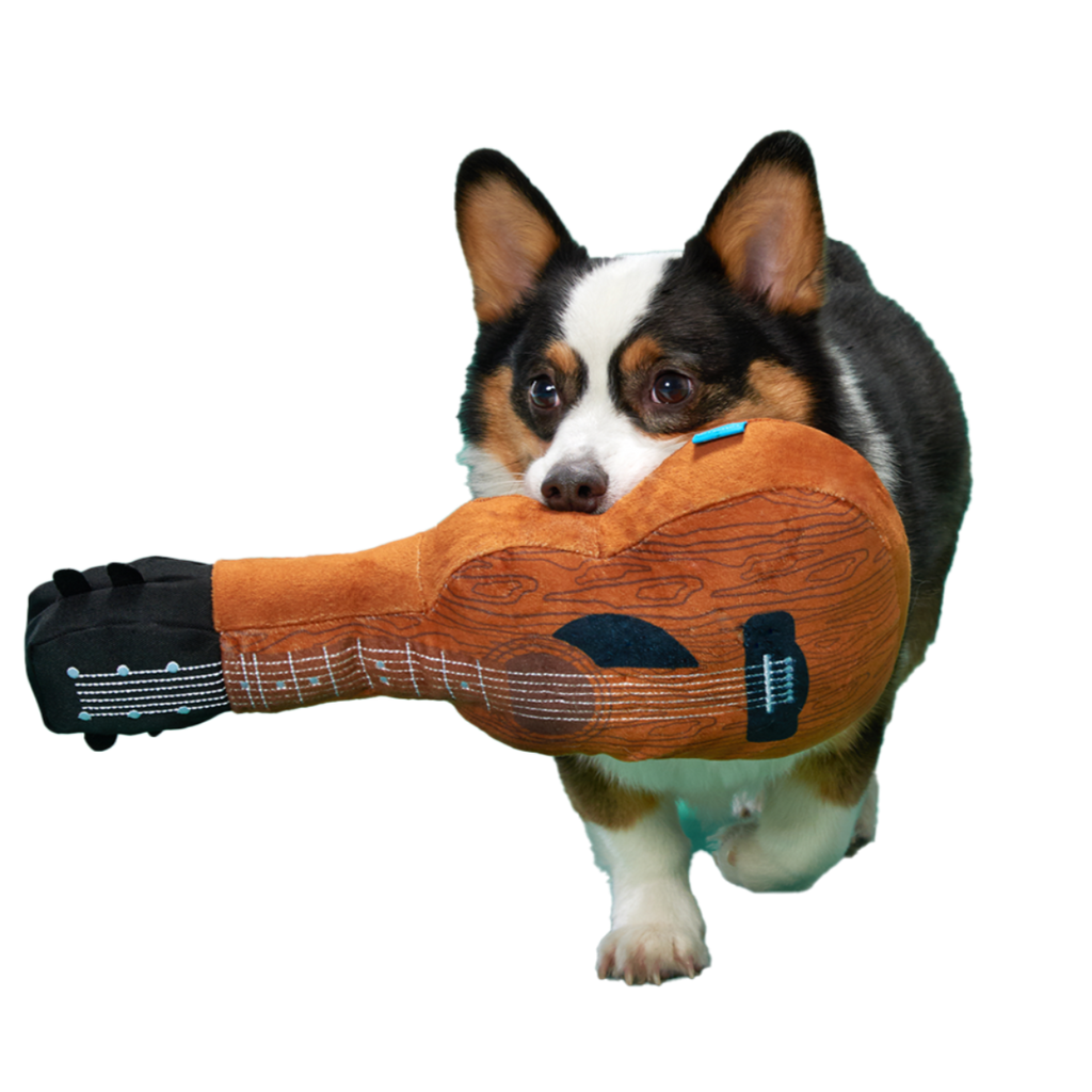 Kumbarkya Guitar Plush Extra-Large Dog Toy – BARK
