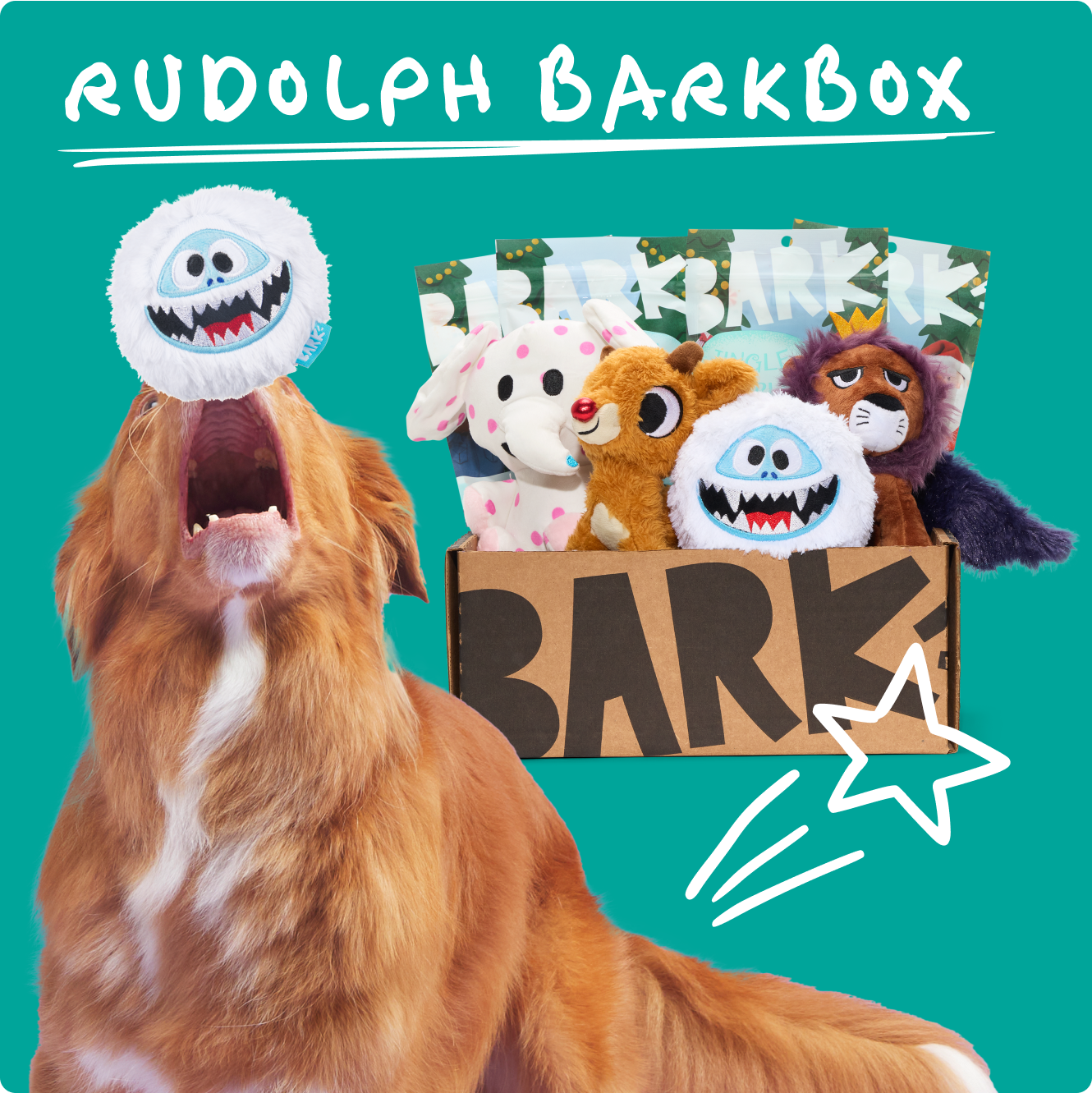 BARK Shop BarkBox Food Toppers Treats Dental Toys and more