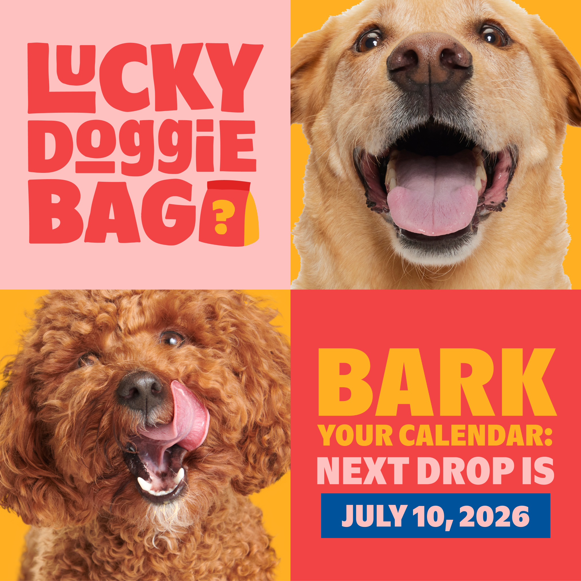Lucky Doggie Bag
