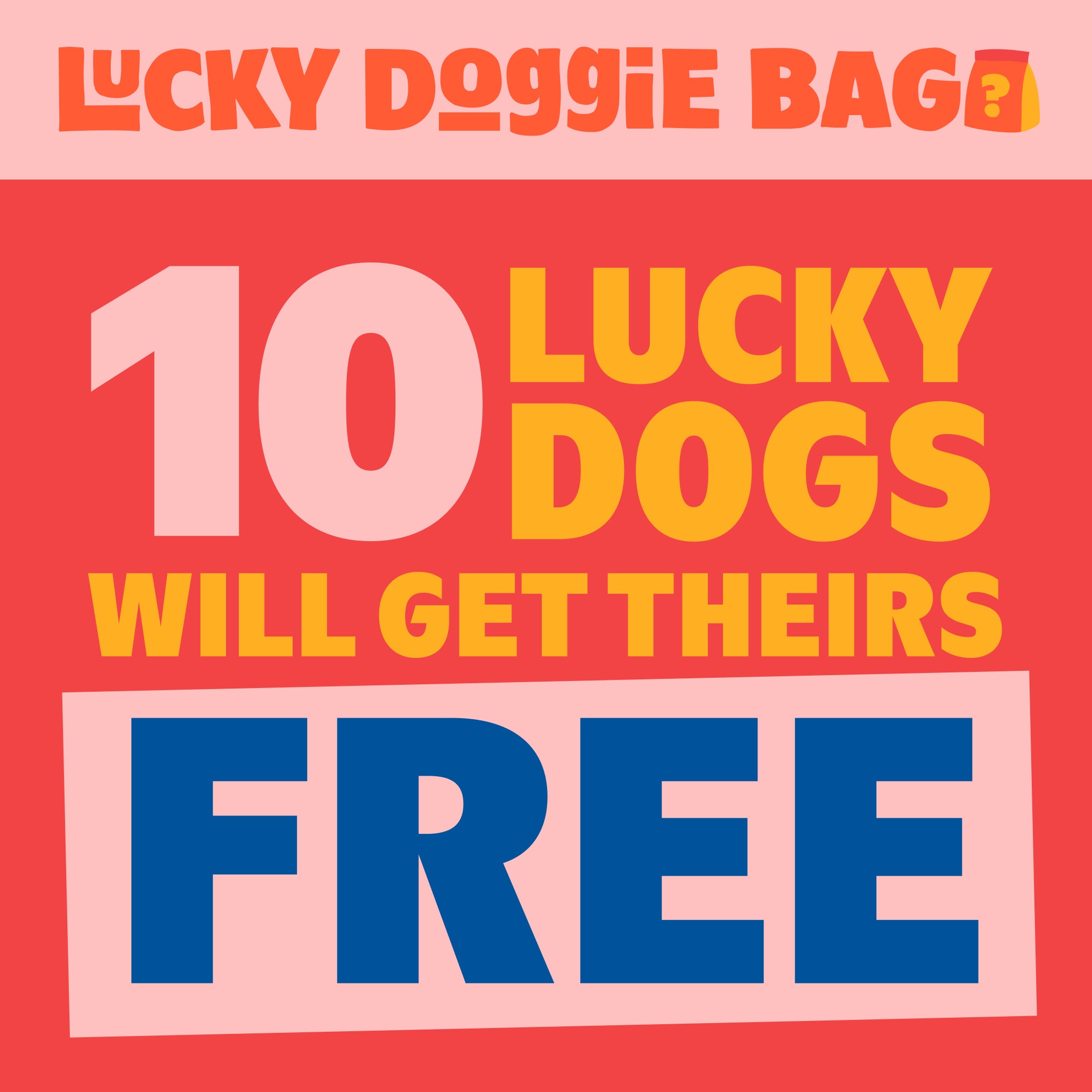 Lucky Doggie Bag – BARK