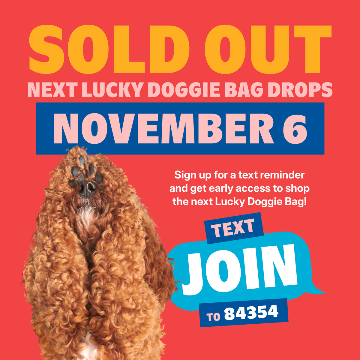 Lucky Doggie Bag