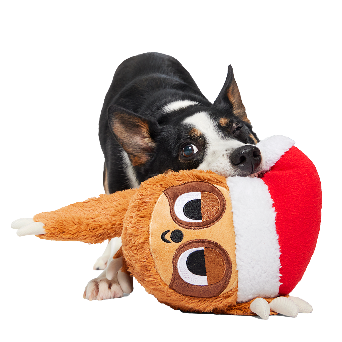 Let It Slow XL Plush Dog Toy