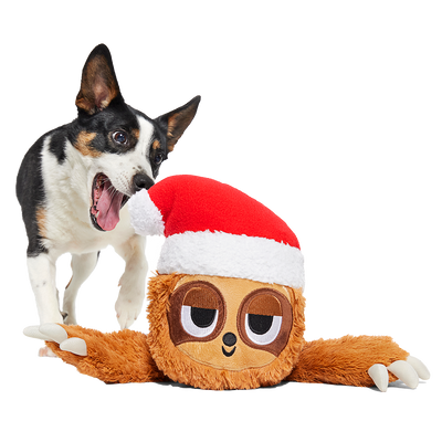 Let It Slow XL Plush Dog Toy