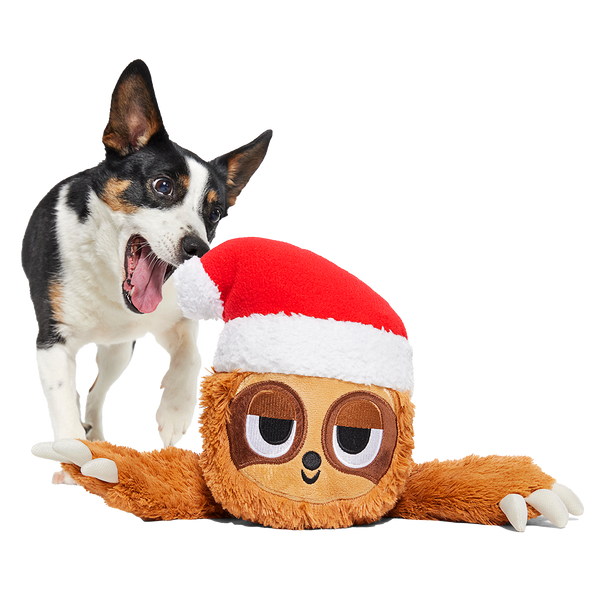 Let It Slow Plush Extra-Large + Tug Dog Toy – BARK