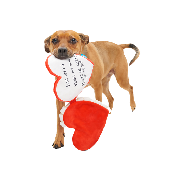 Be Mine Growlentine Plush Enrichment Dog Toy