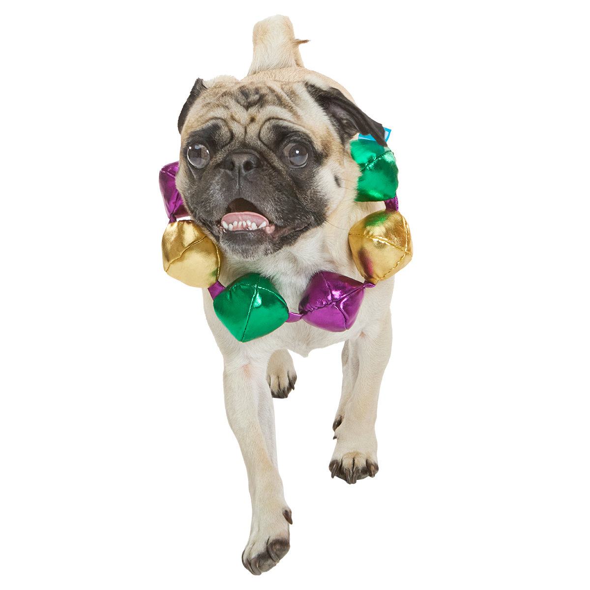 Mardi Growl Necklace