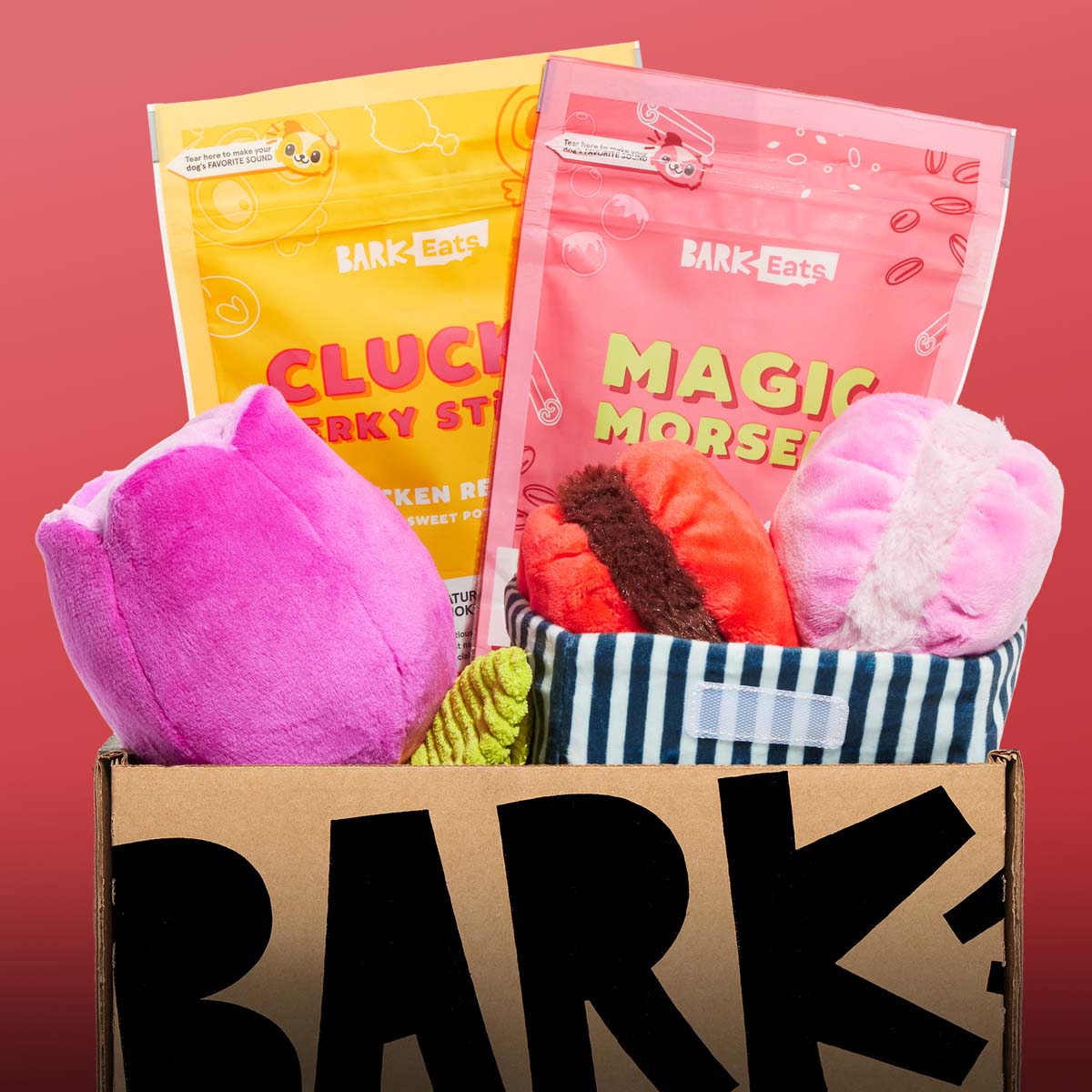 February 2025 BarkBox & Super Chewer Theme Reveal Flower Shoppe