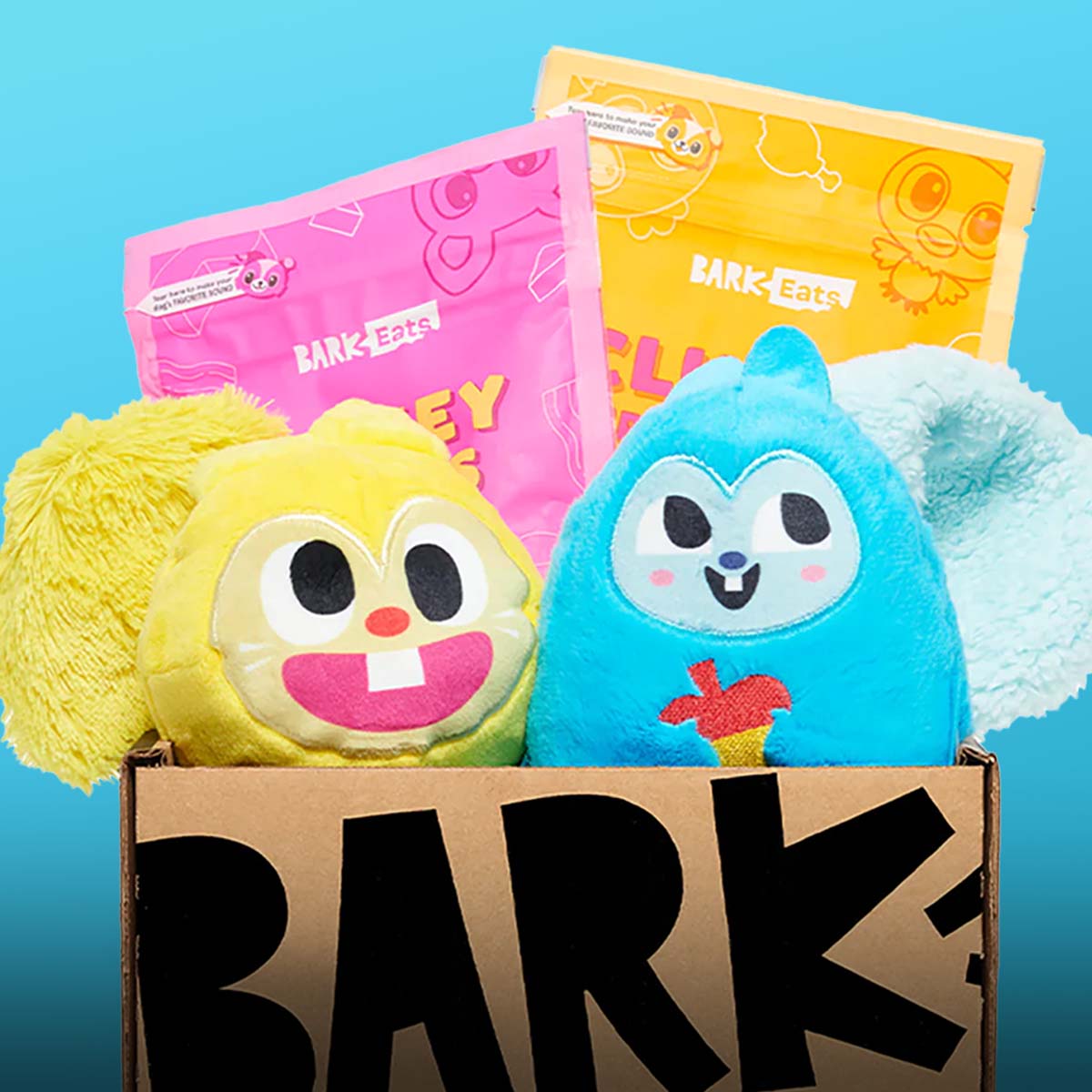 BarkBox 12 Month Subscription