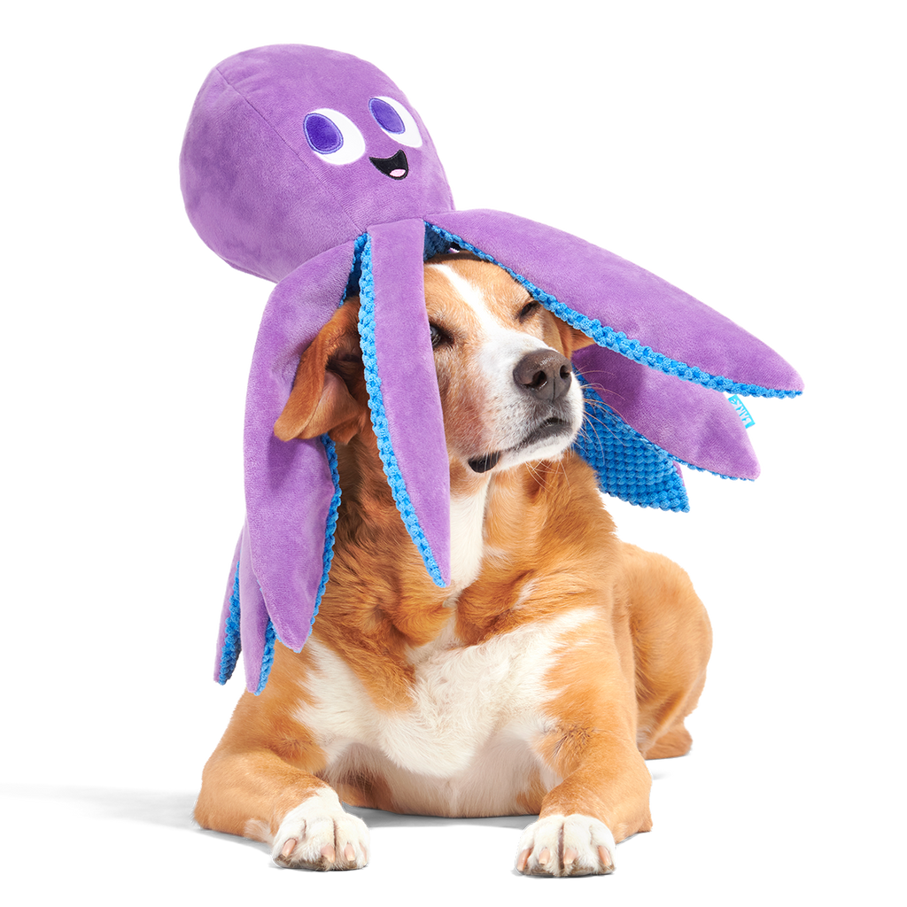 mondo2.png?v=1762201382&width=1024