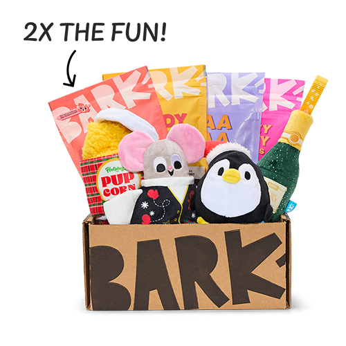 BarkBox 12 Month Subscription - Double Deluxe First Box