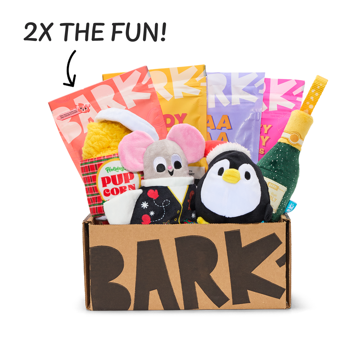 BarkBox 6 Month Subscription - Double Deluxe First Box