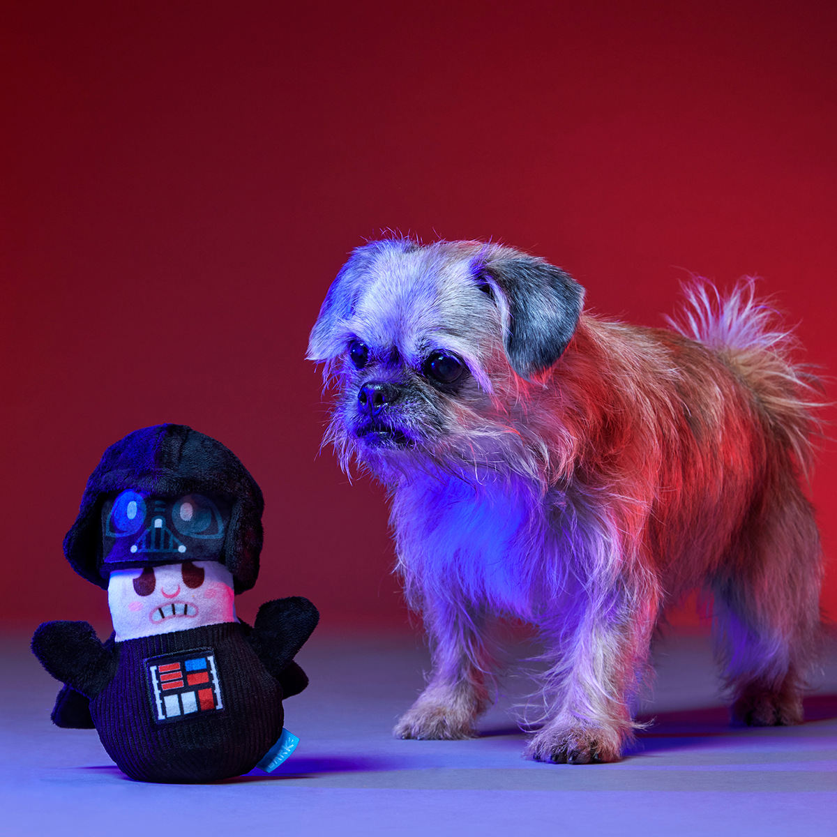 Star Wars™ BarkBox - One Month Gift Box