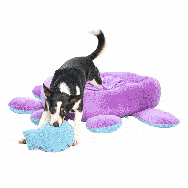 Toys, Treats, And A FREE Bed