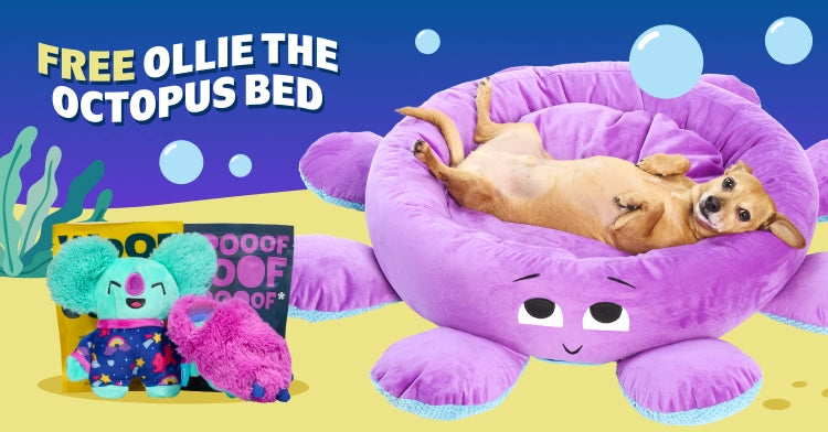 Dog Joy Delivered Every Month