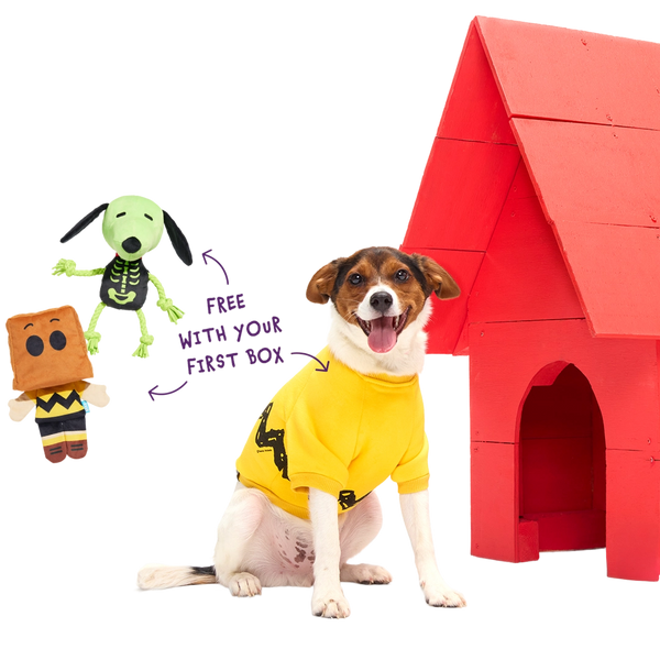 Peanuts™ Halloween Bundle