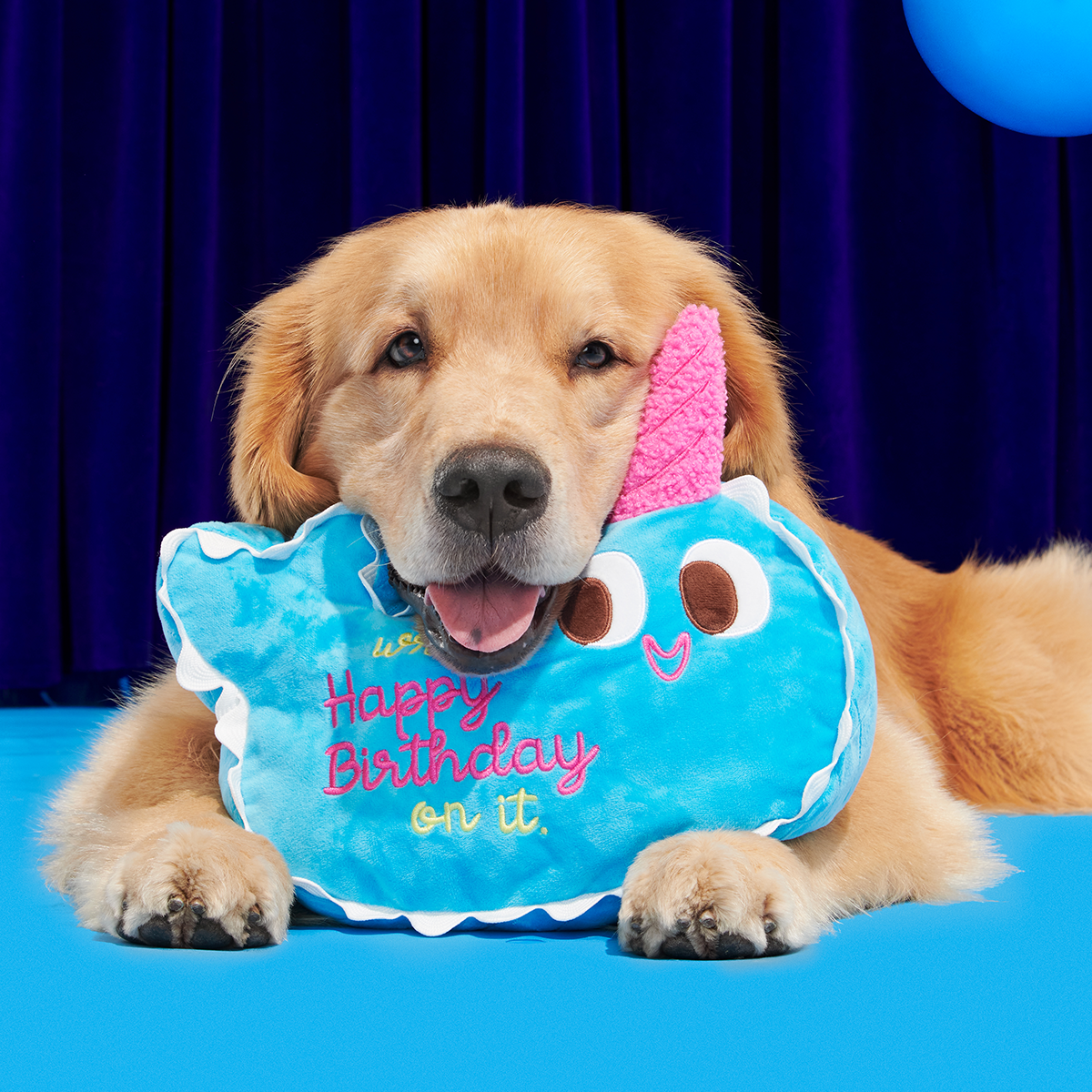 Pudgy the Narwhal Cake