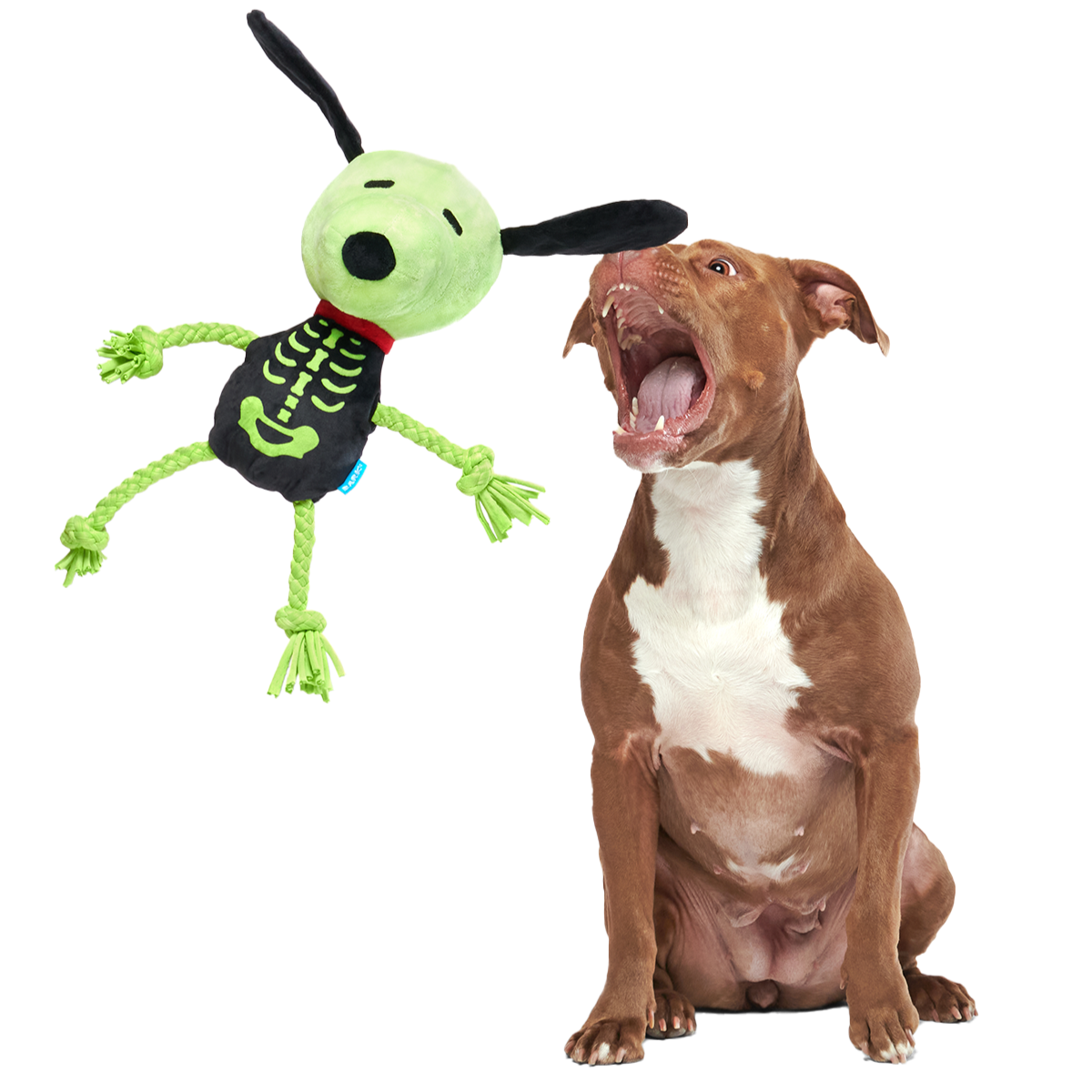Rattling Bones Beagle Plush Extra-Large + Tug Dog Toy