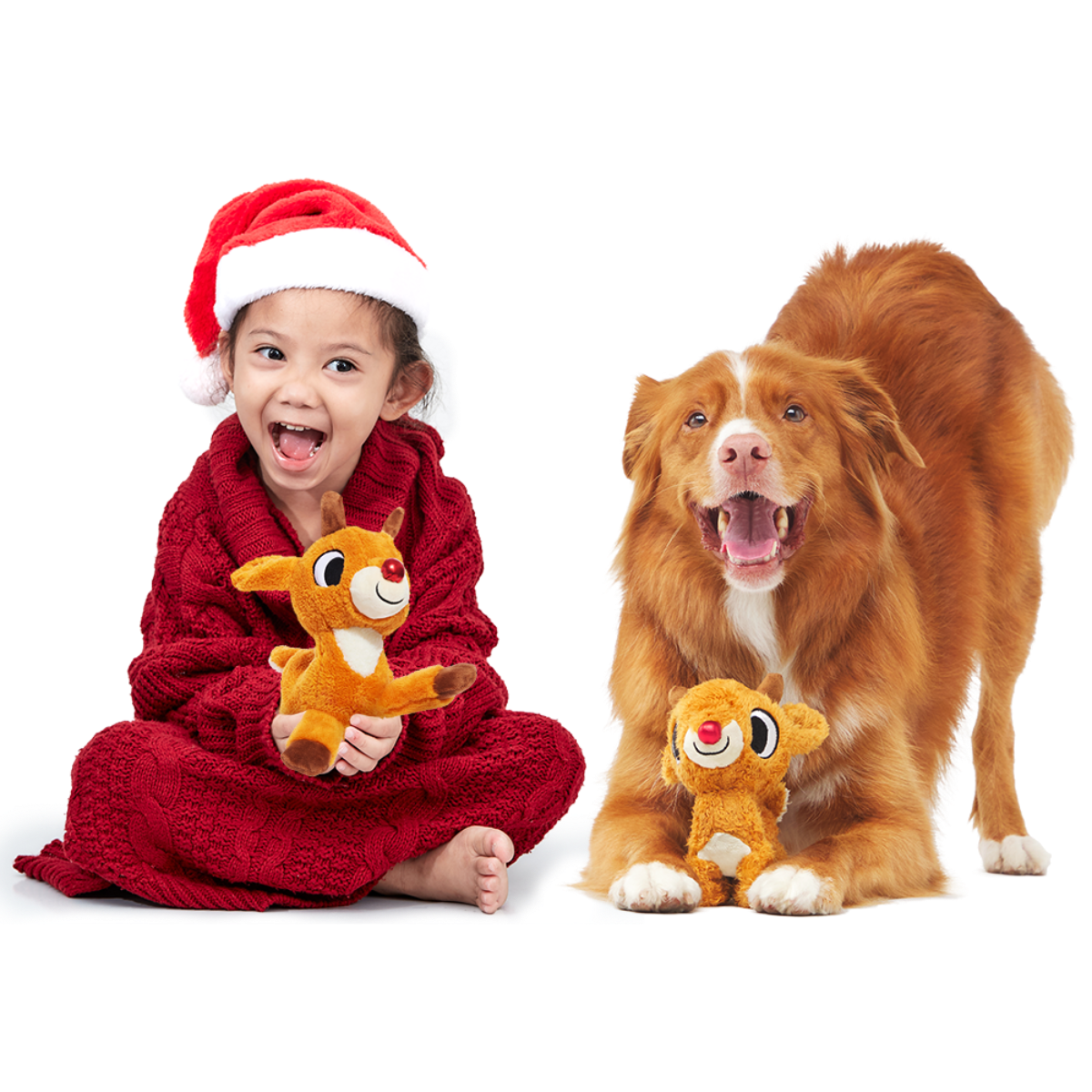 Runnin' Rudolph® Plush Multi-Part Kid + Dog Toy Bundle