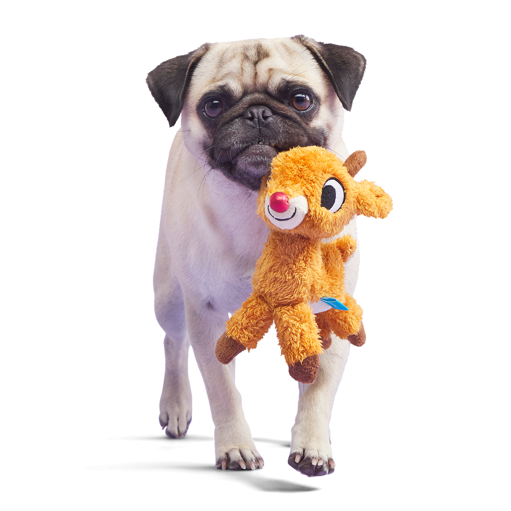 runninrudolphdogtoy.png?v=