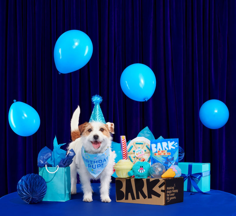 Tough Toys Delivered   Every Month