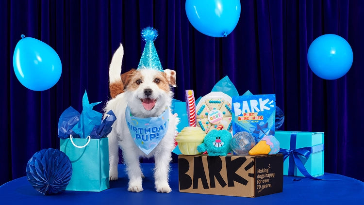 Tough Toys Delivered   Every Month