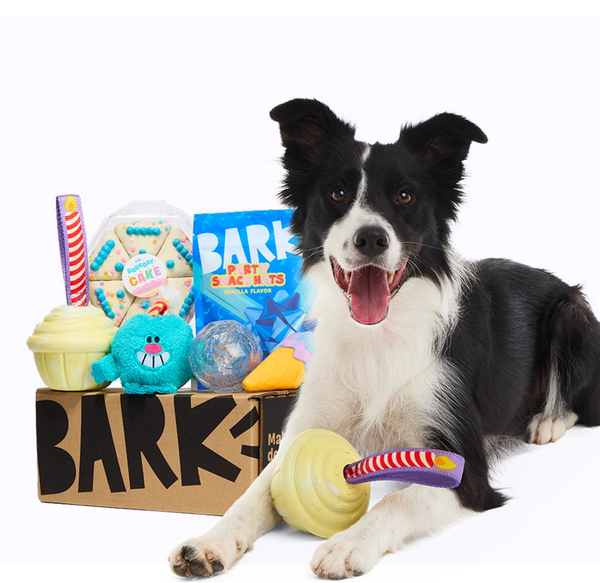 Celebrate Your Bestie!