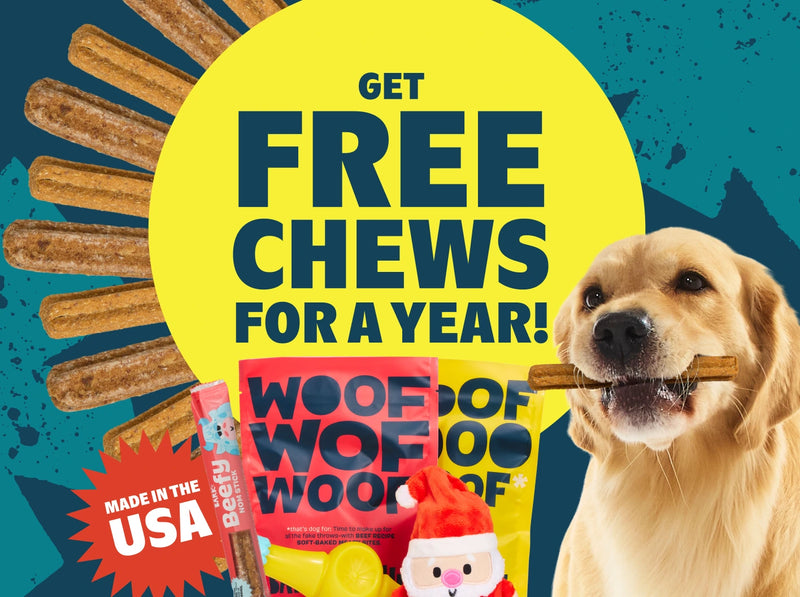 Tough Toys Delivered   Every Month