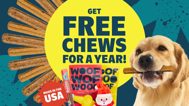 Tough Toys Delivered   Every Month