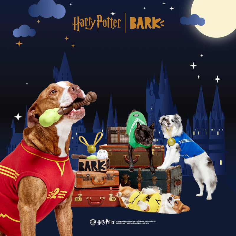 Tough Toys Delivered   Every Month