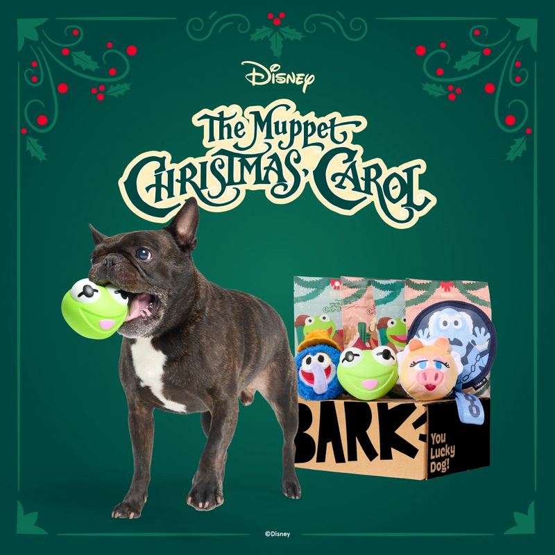 Tough Toys Delivered   Every Month