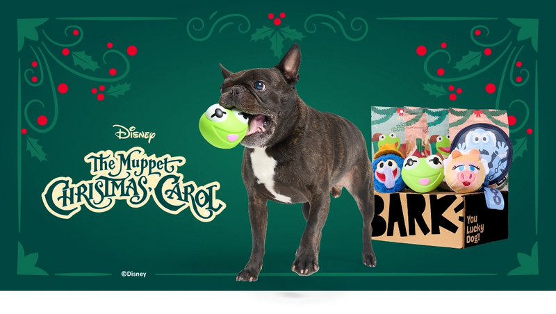 Tough Toys Delivered   Every Month