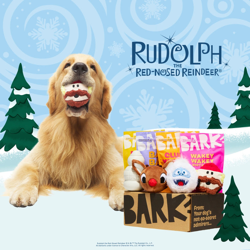 Tough Toys Delivered   Every Month